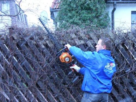 Mężczyzna w niebieskiej kurtce przycina żywopłot porastający drewniany płot za pomocą elektrycznych nożyc do żywopłotu.